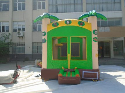 Mini Jumping Castle